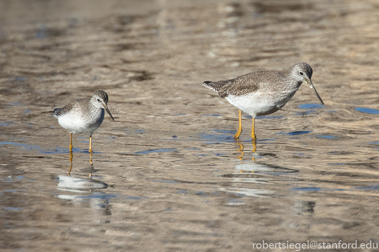 geng road, palo alto baylands